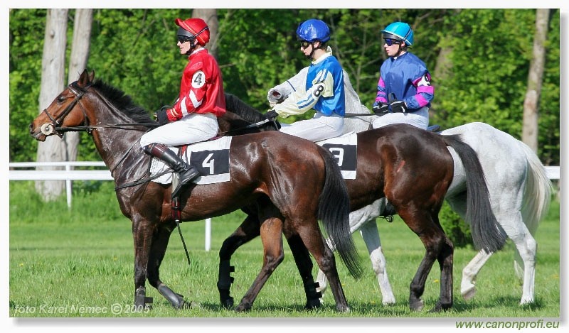 Bratislava - 1. mja 2005
