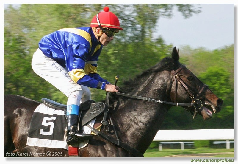 Bratislava - 1. mja 2005