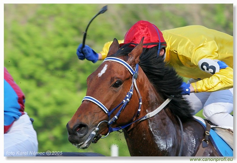Bratislava - 1. mja 2005