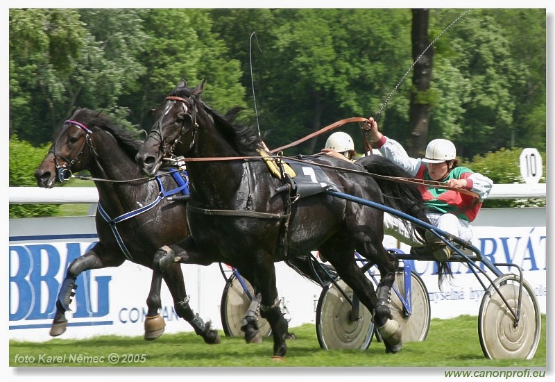 Bratislava - 15. mja 2005