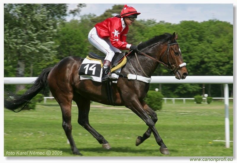 Bratislava - 15. mja 2005