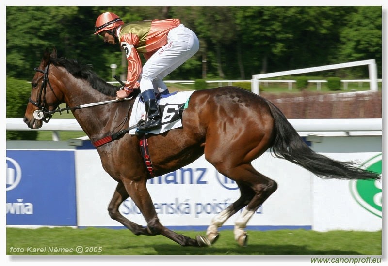 Bratislava - 15. mja 2005
