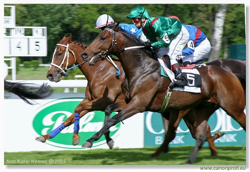 Bratislava - 15. mja 2005