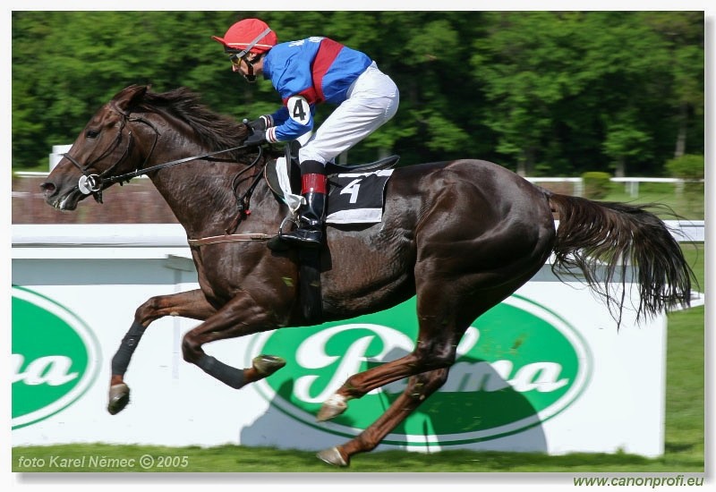 Bratislava - 15. mja 2005