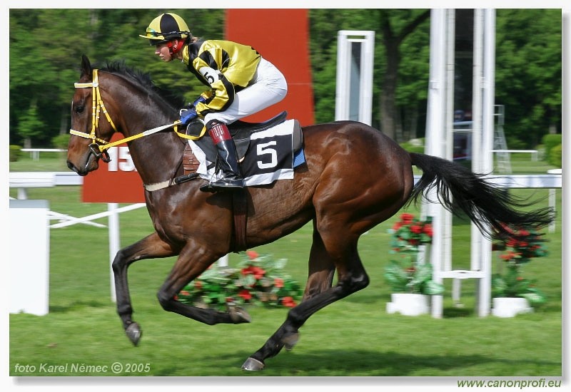 Bratislava - 15. mja 2005