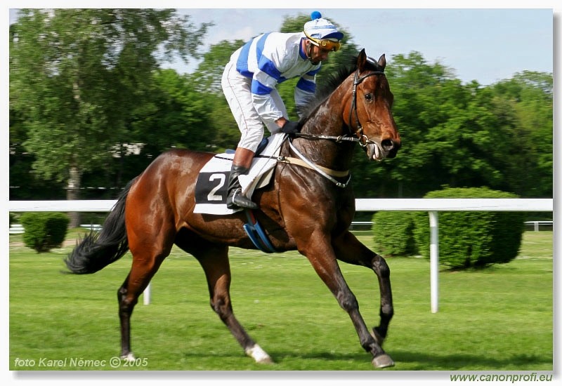Bratislava - 15. mja 2005