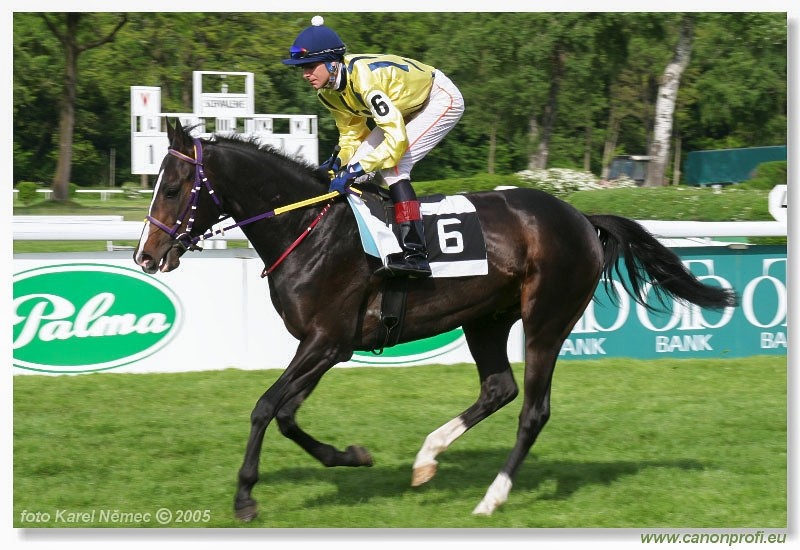 Bratislava - 15. mja 2005