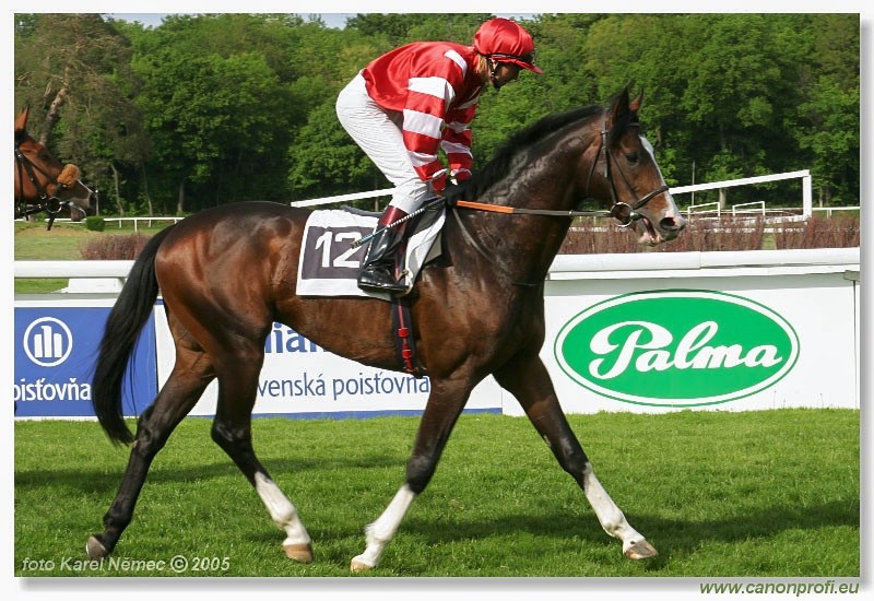 Bratislava - 15. mja 2005