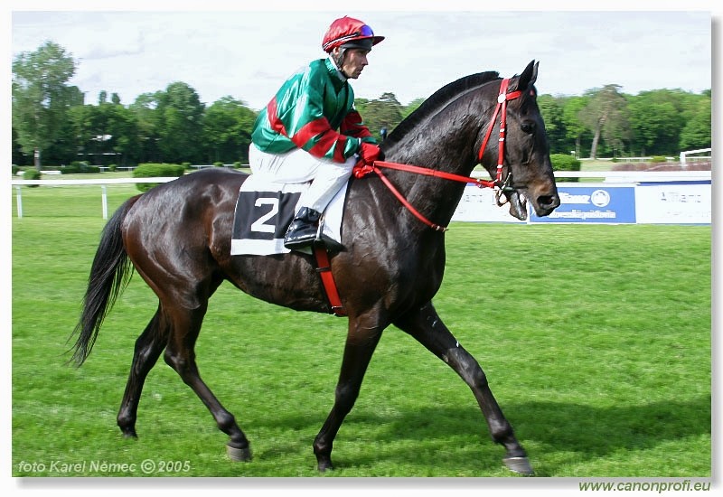 Bratislava - 15. mja 2005