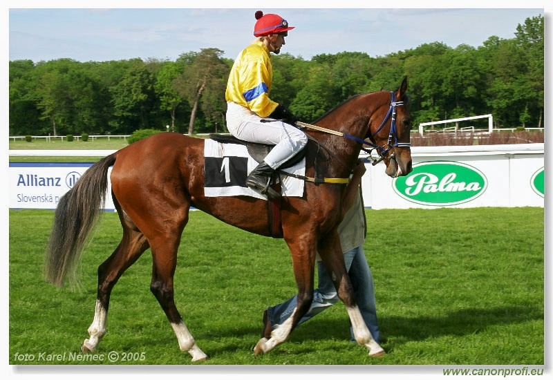 Bratislava - 15. mja 2005