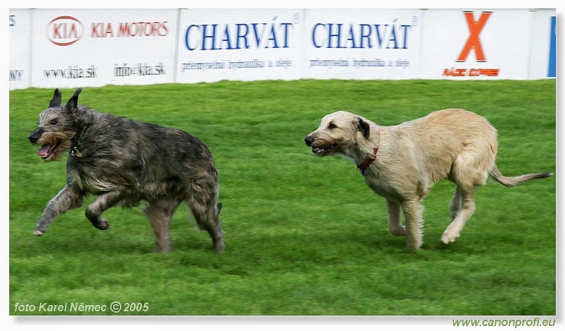 Bratislava - 15. mja 2005