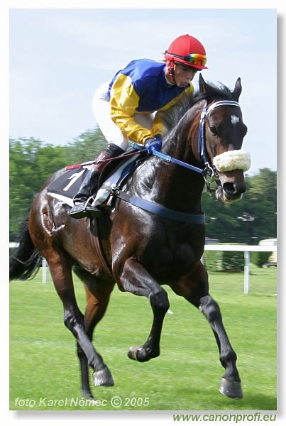 Bratislava - 22. mja 2005