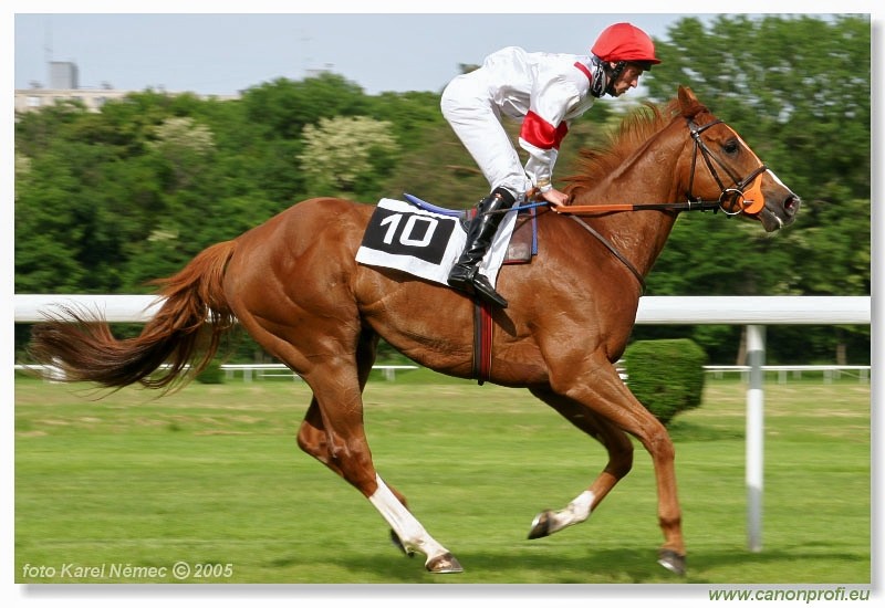 Bratislava - 22. mja 2005