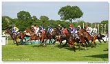 Handicap Guarde Royale 
