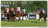 Handicap Guarde Royale 