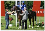 Handicap Guarde Royale 