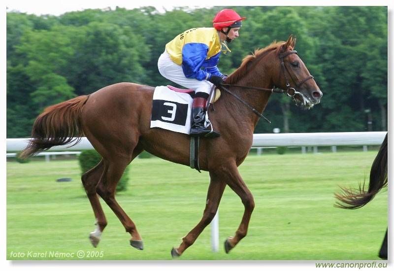 Bratislava - 5. jna 2005