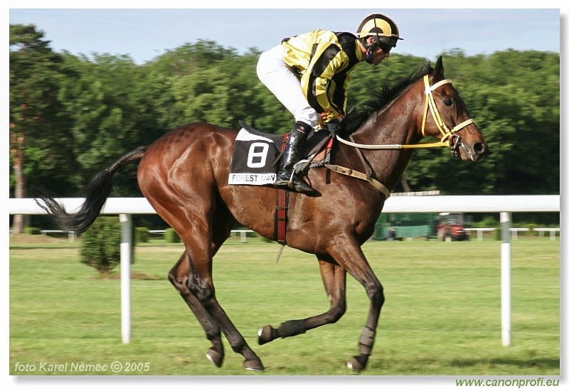 Bratislava - 5. jna 2005