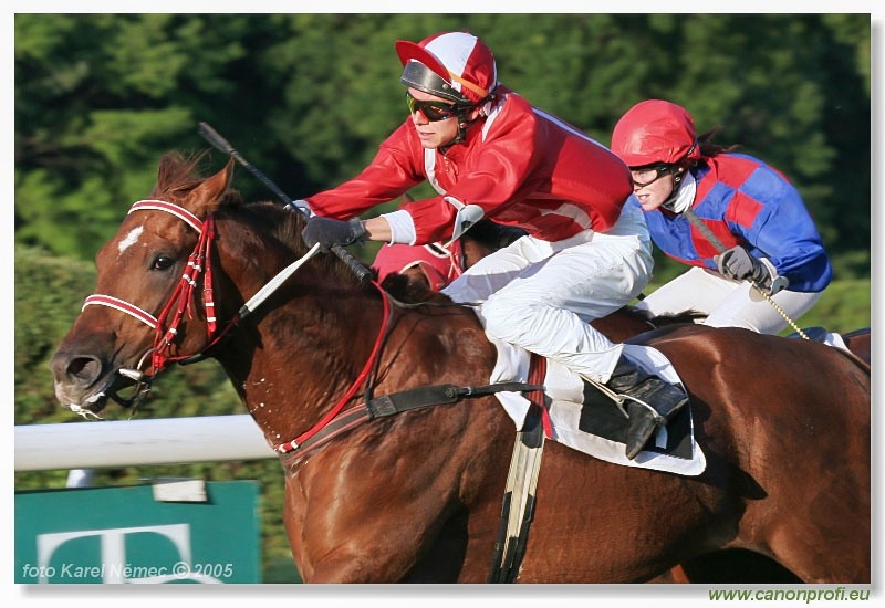 Bratislava - 5. jna 2005