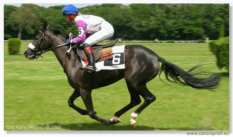 Bratislava - 19. jna 2005