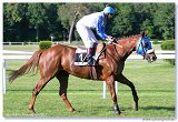 Handicap Ondavy 