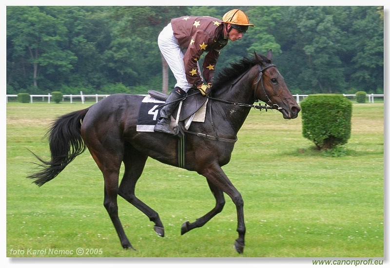 Bratislava - 26. jna 2005