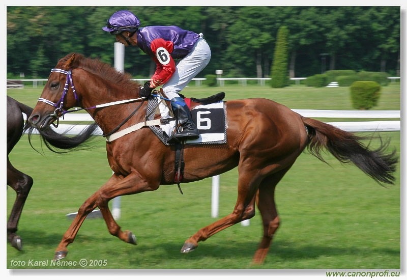 Bratislava - 26. jna 2005