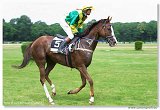Handicap Golden Orchid 