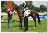 Handicap Golden Orchid 