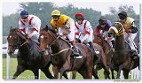 Derby -Trial 