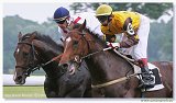 Derby -Trial 