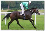 Derby -Trial 