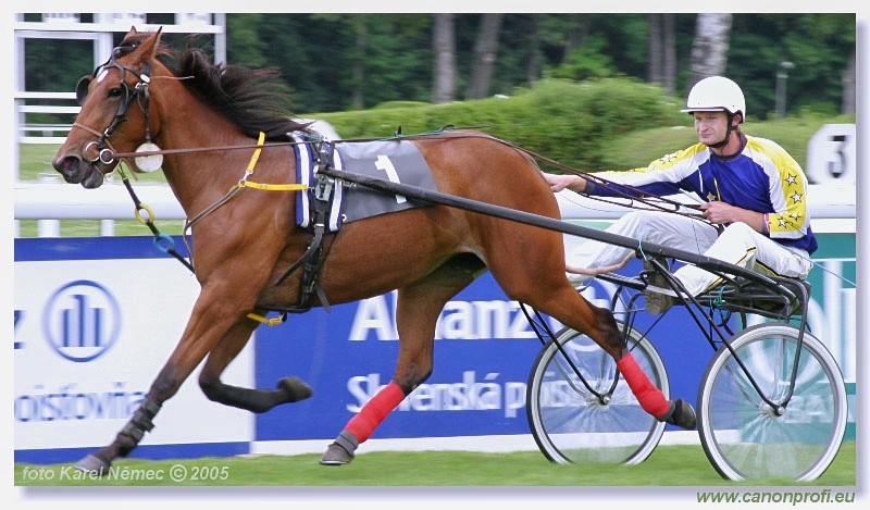 Bratislava - 3. jla 2005