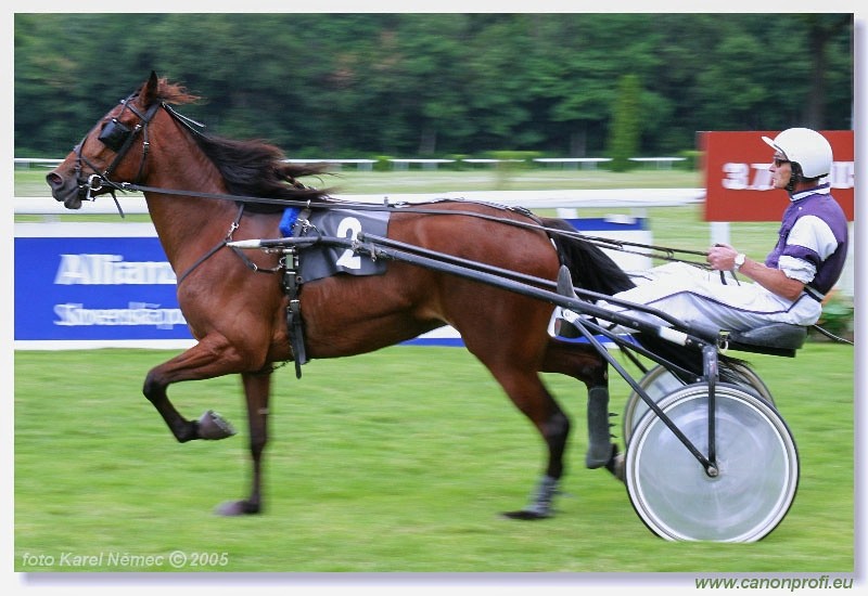 Bratislava - 3. jla 2005