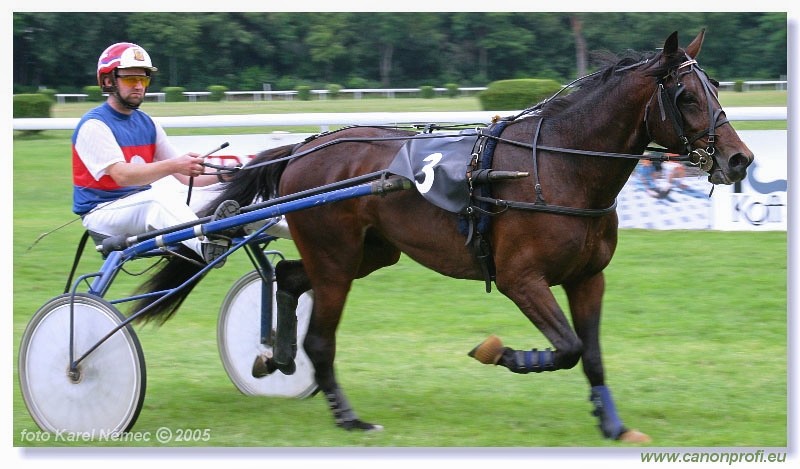 Bratislava - 3. jla 2005