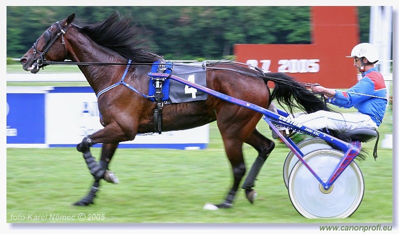 Bratislava - 3. jla 2005