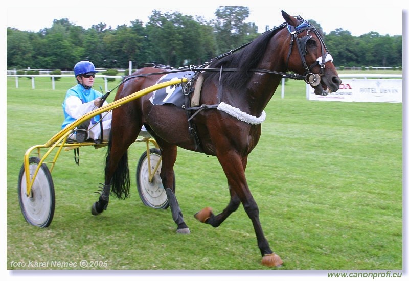 Bratislava - 3. jla 2005