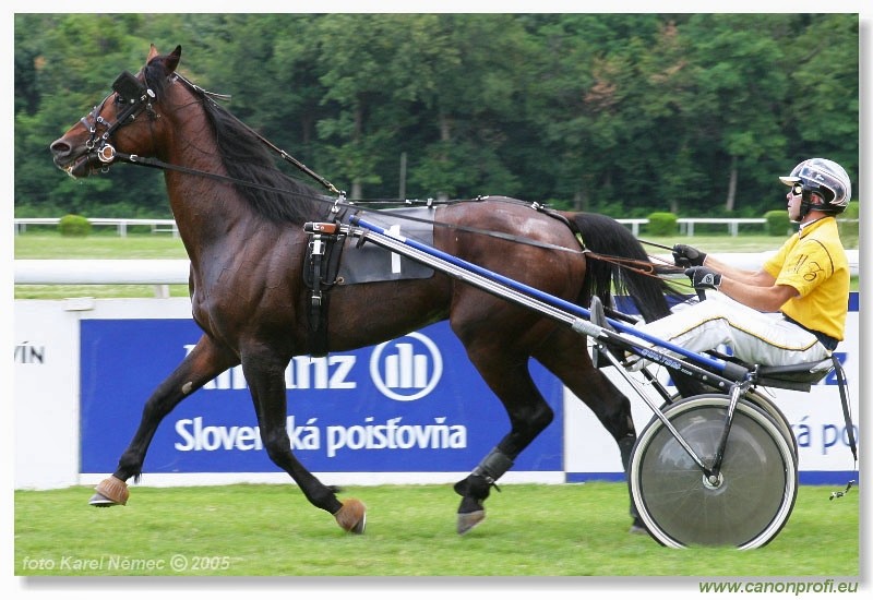 Bratislava - 3. jla 2005