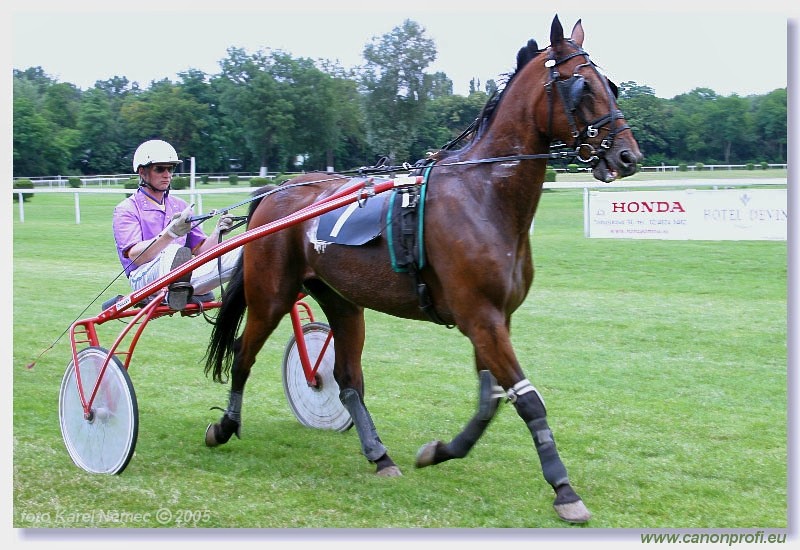 Bratislava - 3. jla 2005
