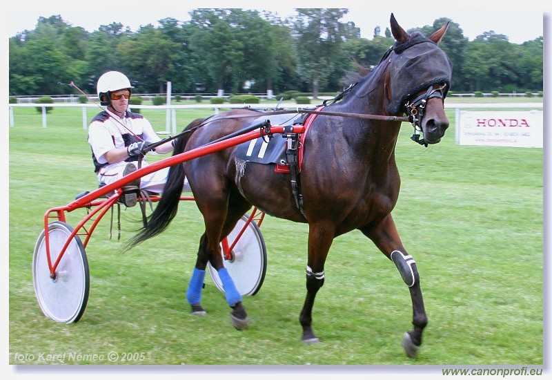 Bratislava - 3. jla 2005