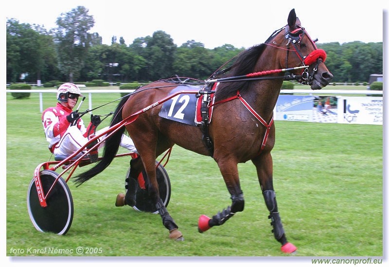 Bratislava - 3. jla 2005