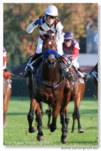 Bratislava - 11. septembra 2005