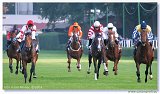 St. Leger CHARVT 