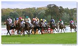 Handicap Noble Patriarcha 