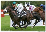 Handicap Noble Patriarcha 