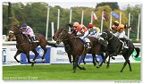 Handicap Noble Patriarcha 