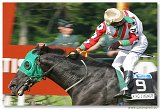 Starohjske kritrium 