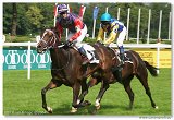 DerbyTrial  