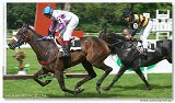 DerbyTrial  