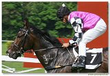 DerbyTrial  